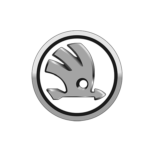 skoda копія